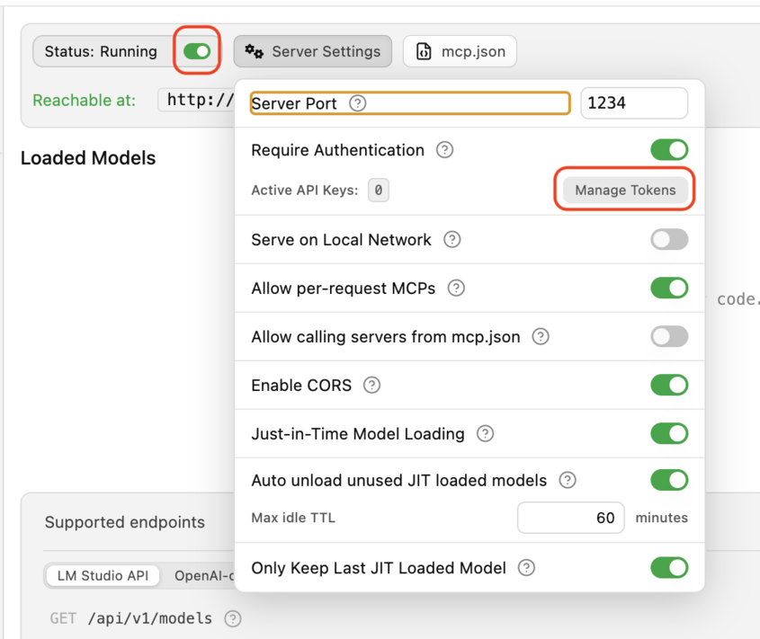 LM Studio - Server Settings